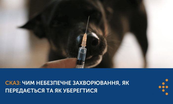 СКАЗ: ЧИМ НЕБЕЗПЕЧНЕ ЗАХВОРЮВАННЯ, ЯК ПЕРЕДАЄТЬСЯ ТА ЯК УБЕРЕГТИСЯ